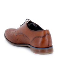 Lloyd Muška cipela 60MCJ11231