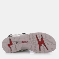 Ecco Ženska sandala 66ZLJ12642